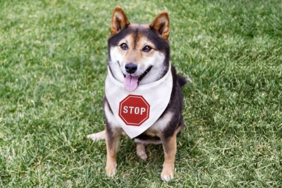 Stop Sign Octagon Mini Embroidery Review for Boutique Apparel
